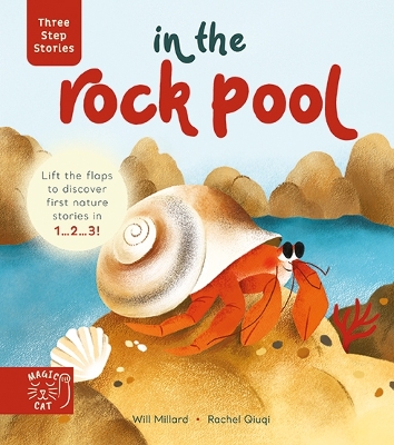 Three Step Stories: In the Rock Pool: Lift the Flaps to Discover First Nature Stories in 1… 2… 3! book