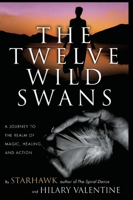 Twelve Wild Swans book