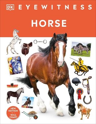 Horse book