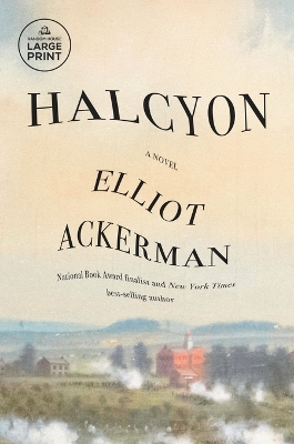 Halcyon: A novel by Elliot Ackerman
