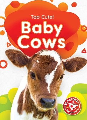 Baby Cows book