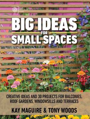 Big Ideas for Small Spaces book