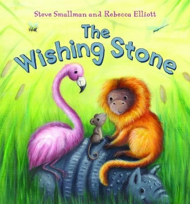 Wishing Stone book