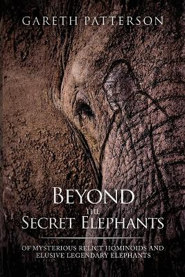 Beyond the Secret Elephants by Gareth Patterson