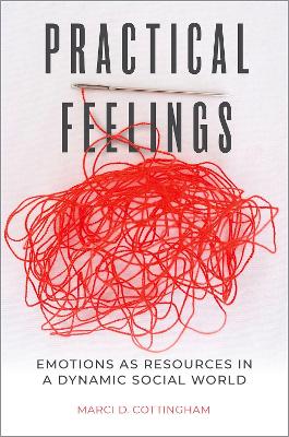 Practical Feelings: Emotions as Resources in a Dynamic Social World book