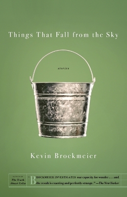 Things That Fall From The Sky book