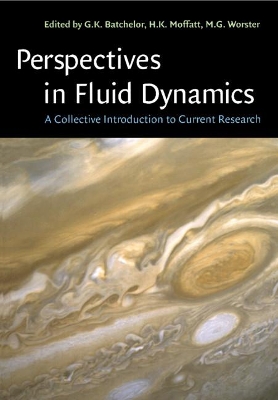 Perspectives in Fluid Dynamics book