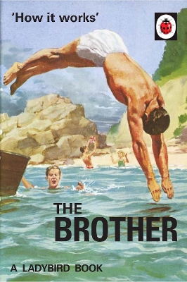 How it Works: The Brother (Ladybird for Grown-Ups) book