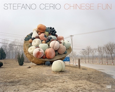 Stefanoi Cerio book