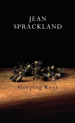 Sleeping Keys book