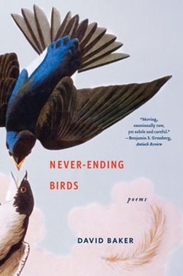 Never-Ending Birds book