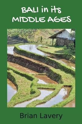 Bali in its Middle Ages book