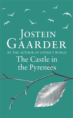 Castle in the Pyrenees book