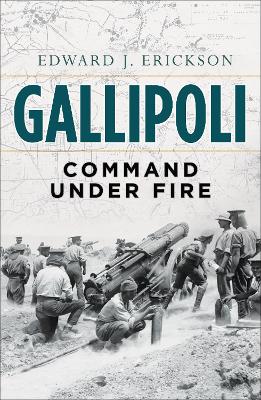 Gallipoli book