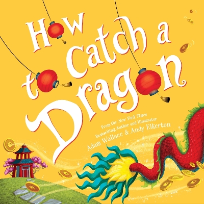 How to Catch a Dragon book