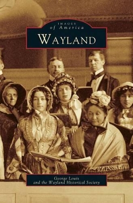 Wayland book
