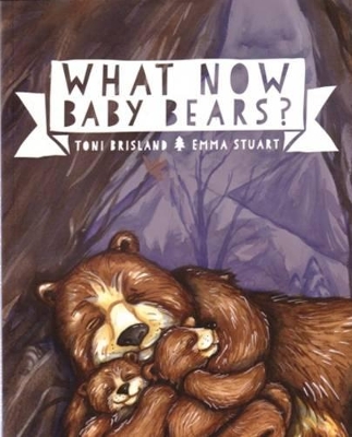 What Now Baby Bears? book