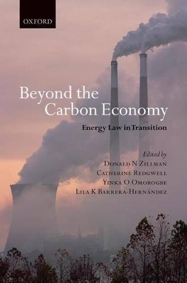 Beyond the Carbon Economy book