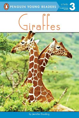 Giraffes book