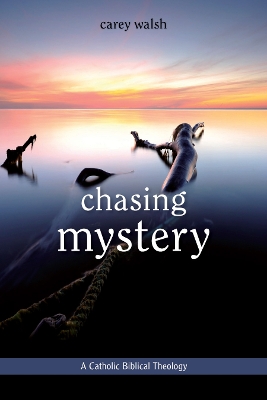 Chasing Mystery book