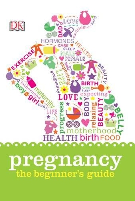 Pregnancy: The Beginner's Guide book