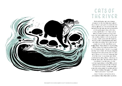 Tom Cox's 21st Century Yokel Poster – Cats of The River book