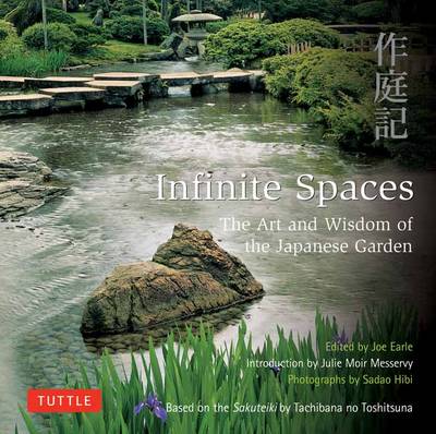 Infinite Spaces by Joe Earle