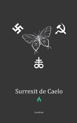 Surrexit de Caelo book