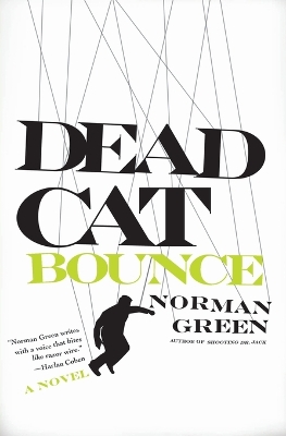 Dead Cat Bounce book