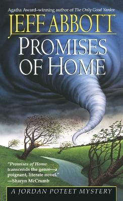 Promises Of Home book