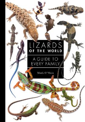 Lizards of the World: A Guide to Every Family book