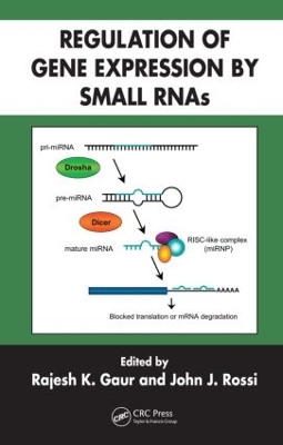 Regulation of Gene Expression by Small RNAs by Rajesh K. Gaur