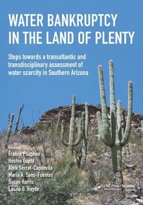 Water Bankruptcy in the Land of Plenty by Franck Poupeau