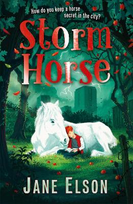 Storm Horse book