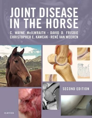 Joint Disease in the Horse book