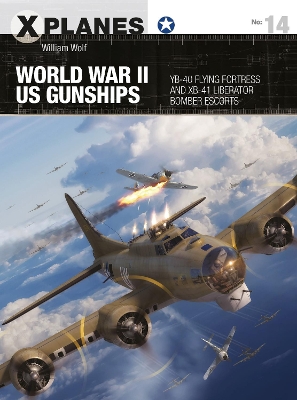 World War II US Gunships: YB-40 Flying Fortress and XB-41 Liberator Bomber Escorts book