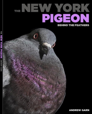 New York Pigeon book