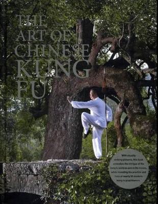 Art of Chinese Kung Fu book