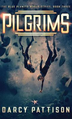 Pilgrims by Darcy Pattison