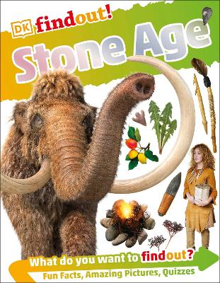 Stone Age book