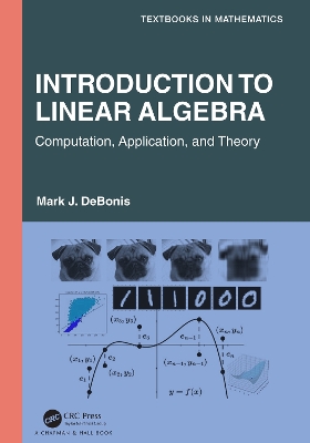 Introduction To Linear Algebra: Computation, Application, and Theory by Mark J. DeBonis