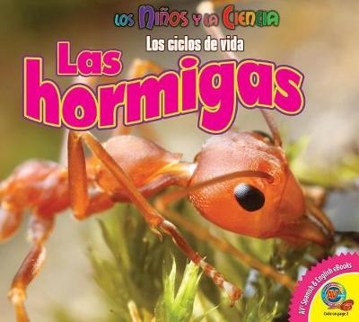 Las Hormigas (Ants) by Katie Gillespie