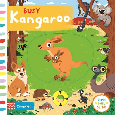 Busy Kangaroo book