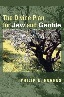 The Divine Plan for Jew and Gentile book