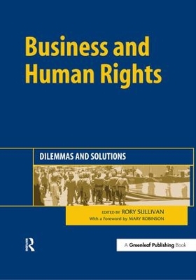 Business and Human Rights book