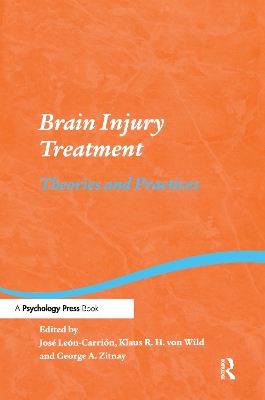 Brain Injury Treatment book