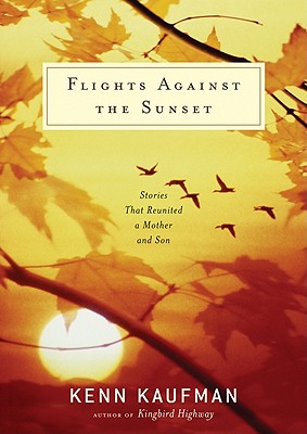 Flights Against the Sunset book