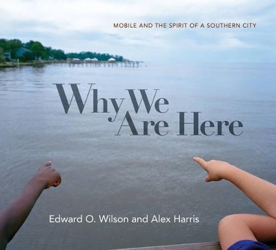 Why We Are Here book