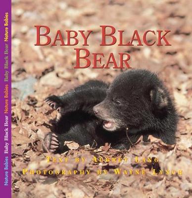 Baby Black Bear book