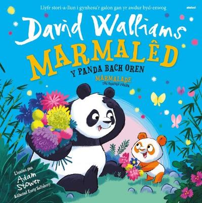 Marmalêd - Y Panda Bach Oren / Marmalade - The Orange Panda book